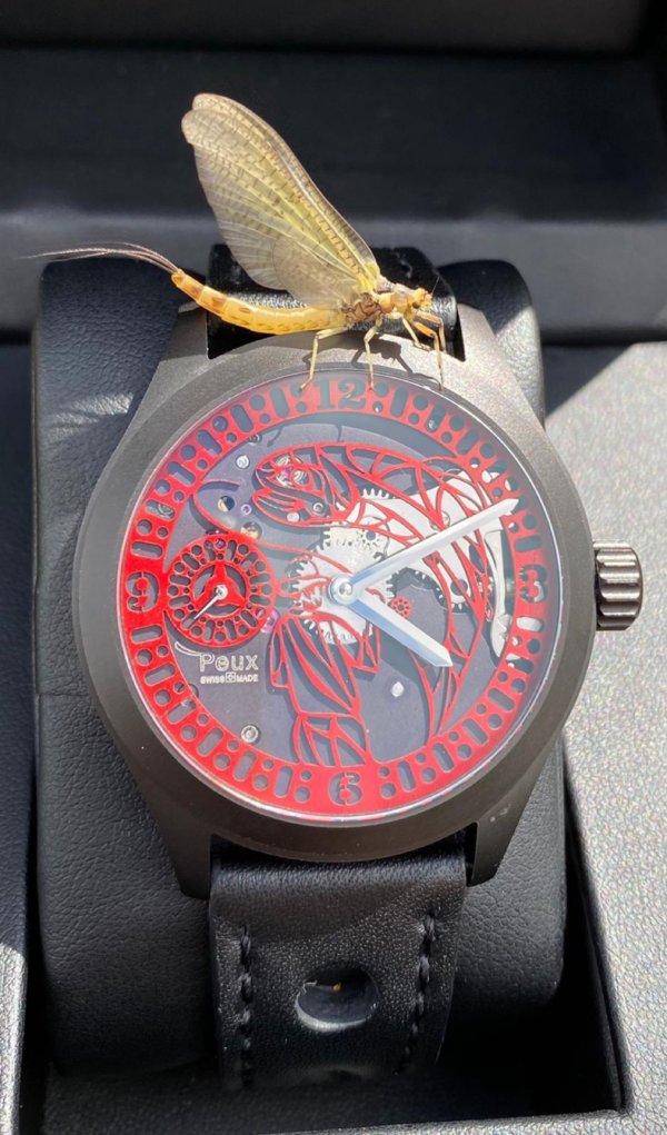 Montre mécanique PEUX - Image 2